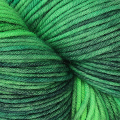 Skein of Symfonie Viva DK merino yarn in Jungle Secrets