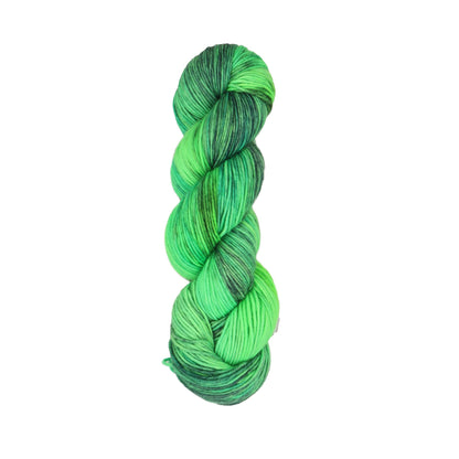 Skein of Symfonie Viva DK merino yarn in Jungle Secrets