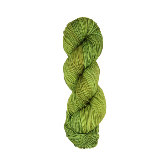 Skein of Symfonie Viva DK merino yarn in Macha