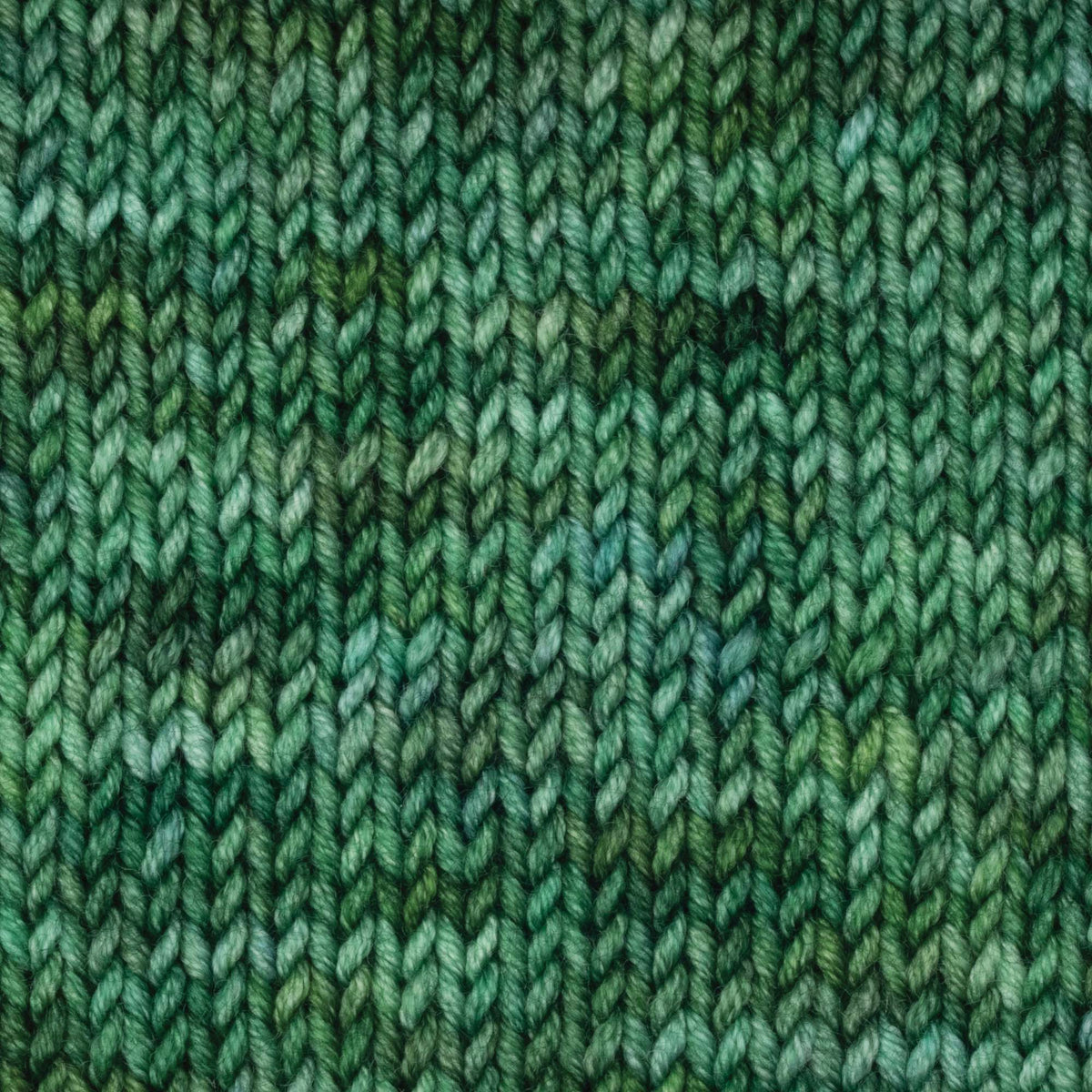 Skein of Symfonie Viva DK merino yarn in Fernfall