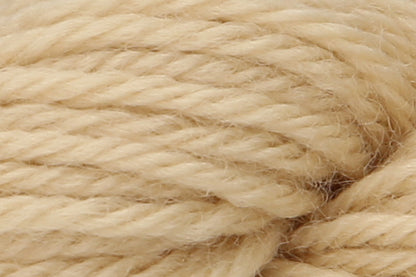Anchor Tapisserie Wool 20g Hank - Shade 9322