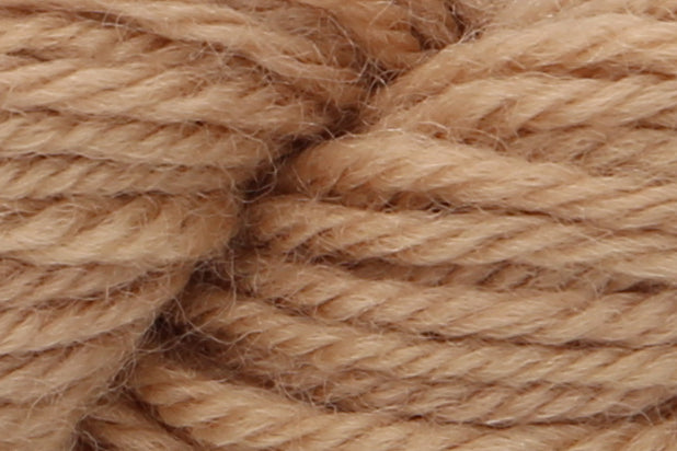 Anchor Tapisserie Wool 20g Hank - Shade 9384