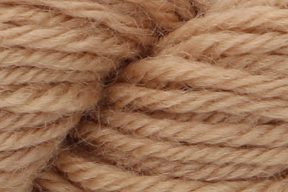 Anchor Tapisserie Wool 20g Hank - Shade 9384