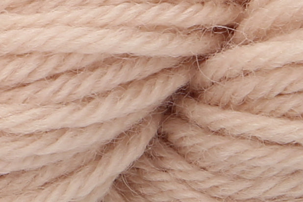 Anchor Tapisserie Wool 20g Hank - Shade 9632