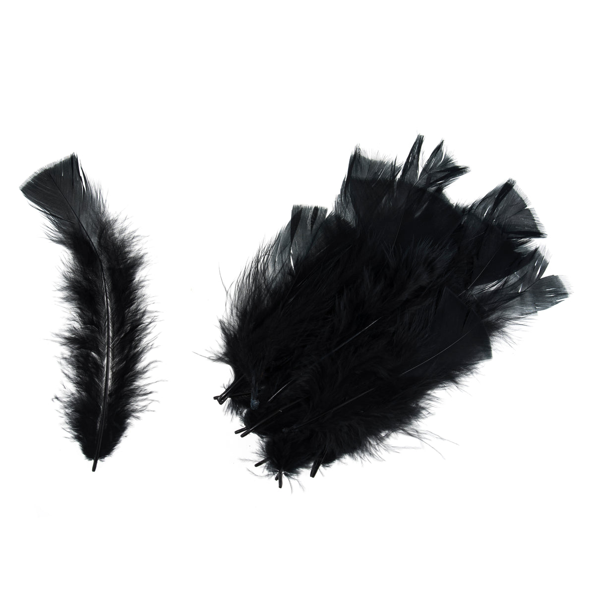 Pack of black turkey feathers