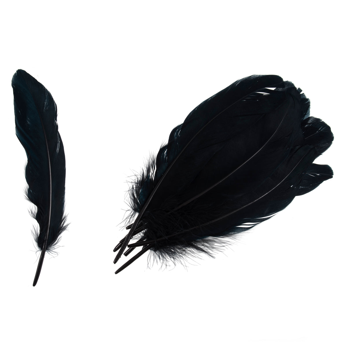 Pack of black goose feathers by Trimits