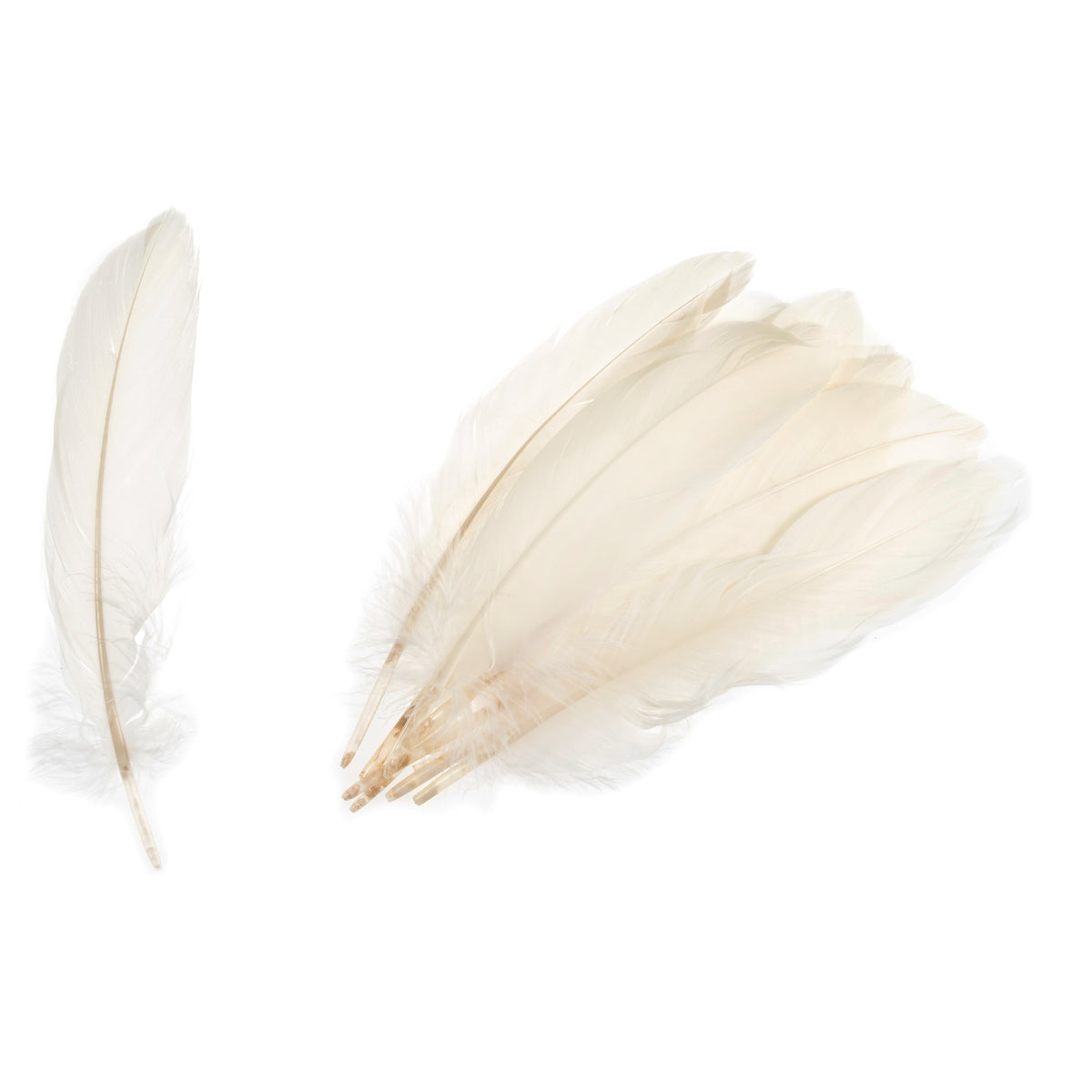 Pack of cream goose feathers by Trimits