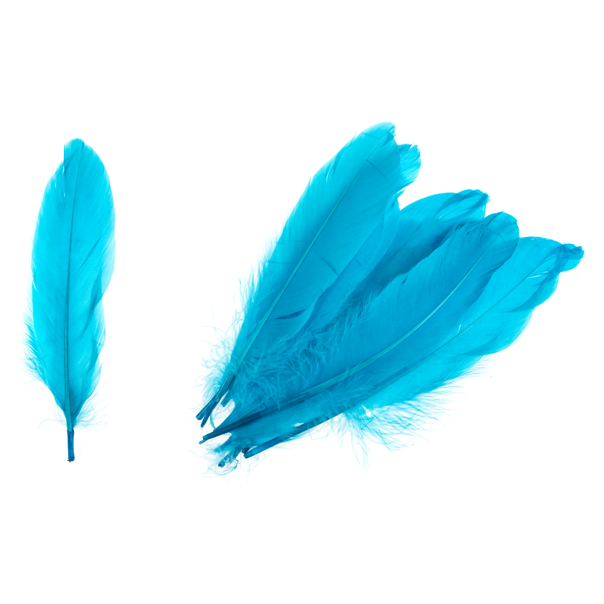 Pack of turquoise goose feathers by Trimits