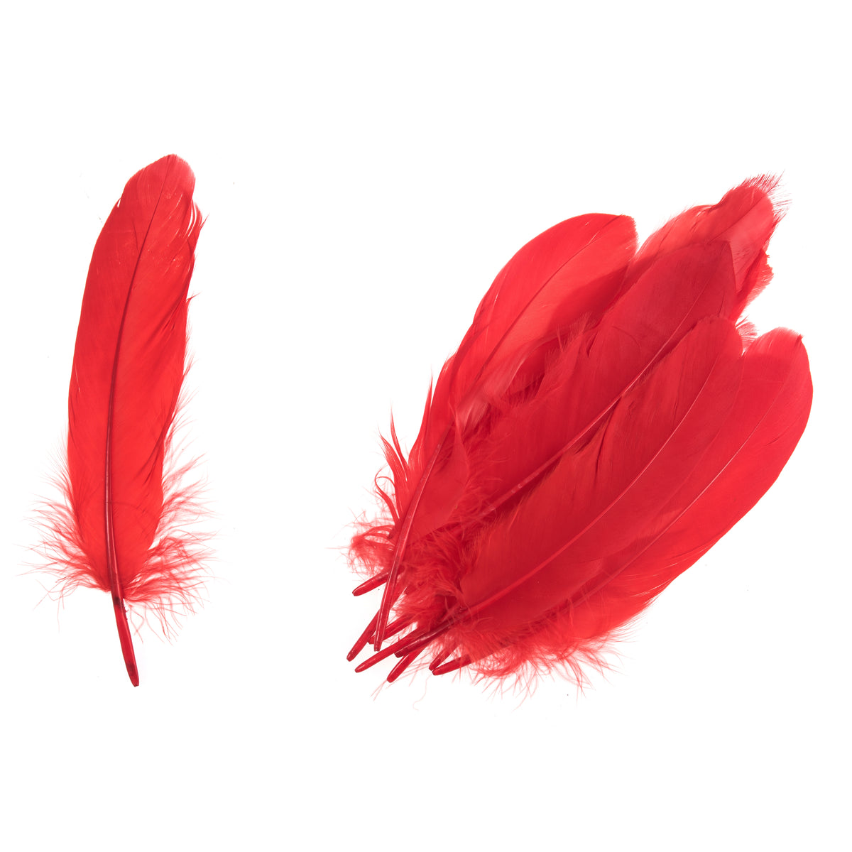 Pack of red goose feathers by Trimits