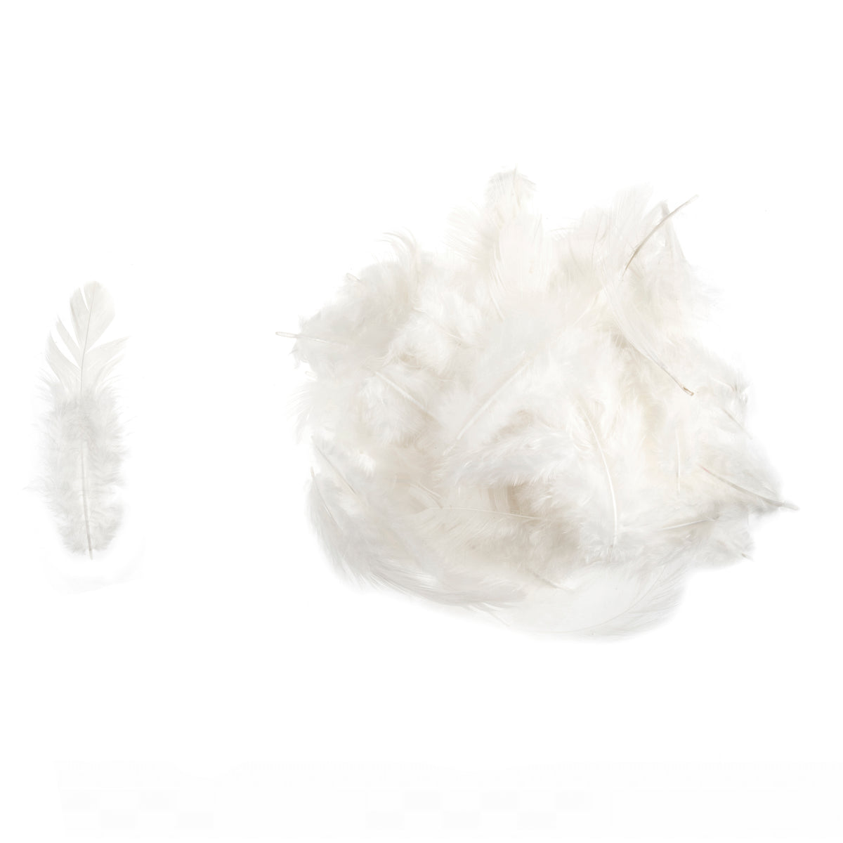 Pack of white hen feathers by Trimits