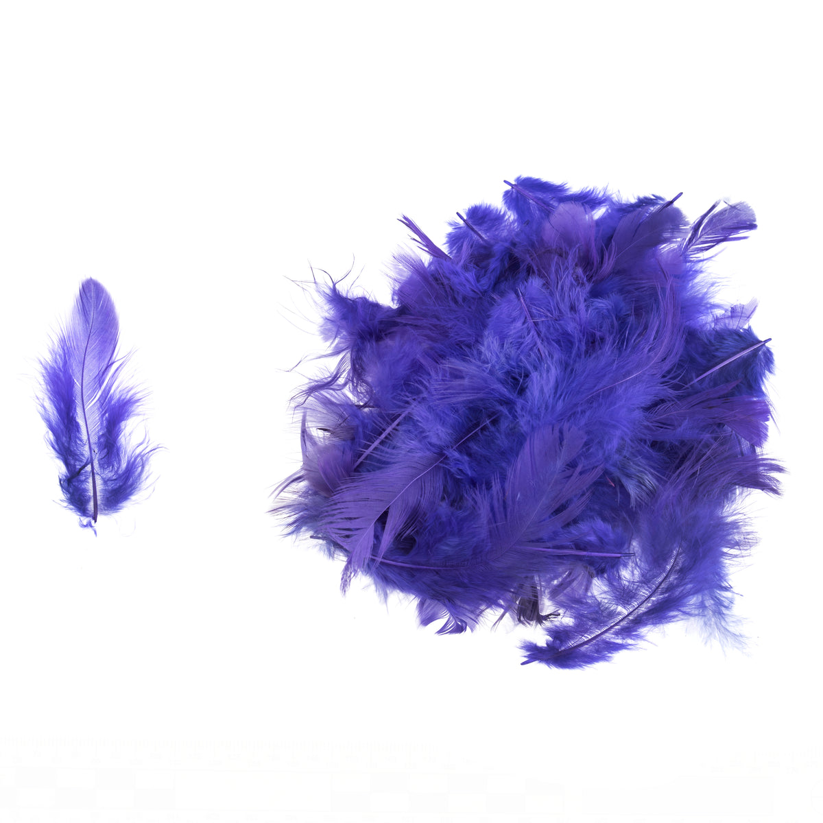 Purple dyed hen feathers in a clear pack